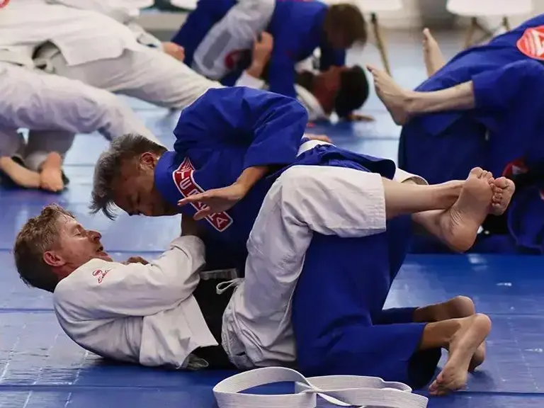 gb denver bjj